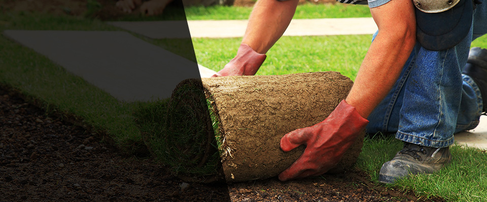 Clearwater Landscapers